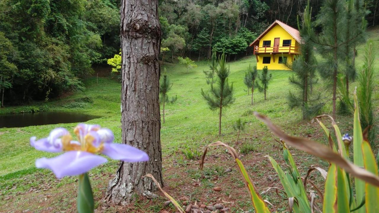 Chale Portal Lazer Chalet Goncalves